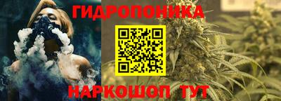 трава Новокубанск
